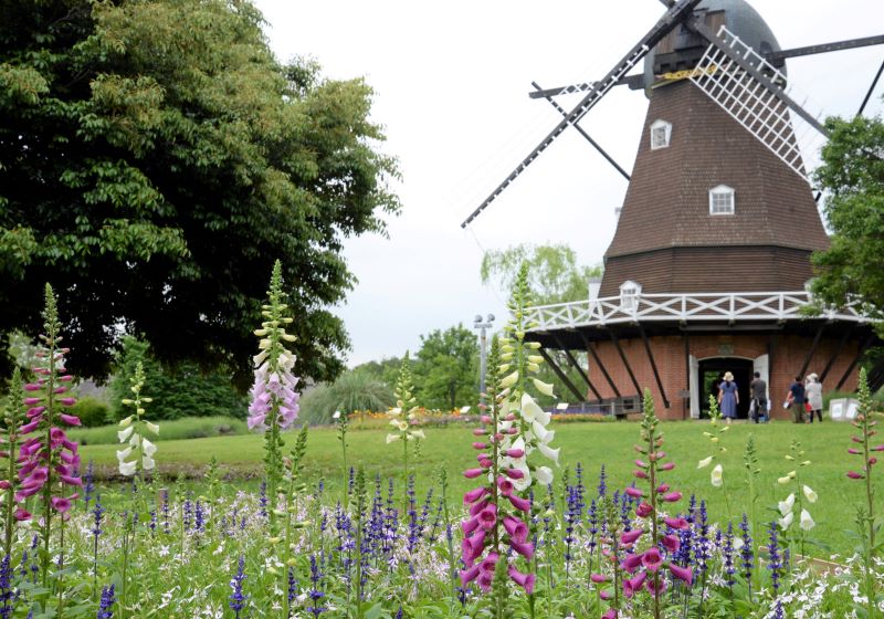 顧客満足度ランキングで4位に入った船橋市のふなばしアンデルセン公園