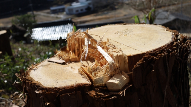 ※写真はイメージ